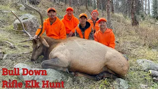 BULL DOWN!!! Colorado First Season Rifle Elk Hunt 2022