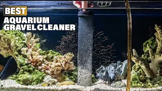 Top 10 Best Aquarium Gravel Cleaner On Amazon