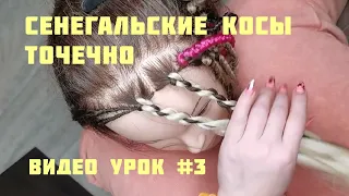 СЕНЕГАЛЬСКИЕ косы ТОЧЕЧНО