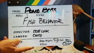Pond Boss Podcast #8 Fish Behavior