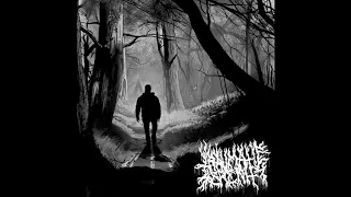 Traumatic Serenity - A Depressive Walk Within Woodlands FULL ALBUM (Atmospheric Black Metal)