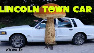 Złomnik: Lincoln Town Car – The American Mushroom