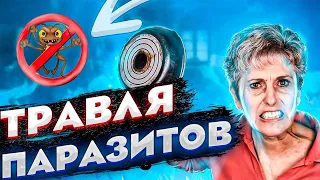 Домашние паразиты | Бандиты Вольнова | Пранкота