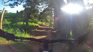 Early Morning MTB ride at Totara Park Auckland NZ Trek Remedy 8