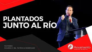 #371 Plantados junto al río - Pastor Ricardo Rodríguez