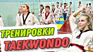 TAEKWONDO, НЕРЕАЛЬНЫЕ ТРЕНИРОВКИ
        #Taekwondo #Тхэквондо