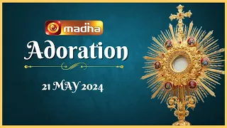 🔴 LIVE 21 May 2024 Adoration 11:00 AM | Madha TV