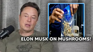 Elon Musk On Taking Mushrooms!