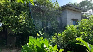 I cleaned an abandoned house for 20 years with overgrown trees _ BEAUTIFUL TRANSFORMATION