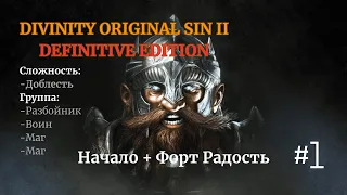Прохождение Divinity: Original Sin II[DE]. Доблесть. Разбойник, Воин, Маг, Маг. #1