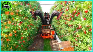 The Most Modern Agriculture Machines That Are At Another Level ▶18