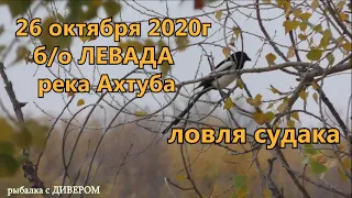 Харабали, река Ахтуба - ловля судака осенью 2020г. Фильмы ДИВЕРА, видео о рыбалке