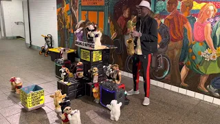 Excellent Saxophone Music at Times SQ Subway Station, NYC