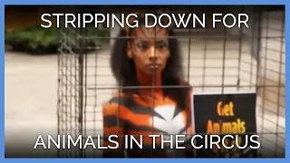 This Activist is Stripping Down for Animals in the Circus