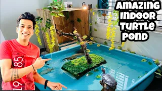 Turtle Indoor Pond | Turtle & Oscar Pond | Indoor Pond Ideas | Turtle Pond Set up | Indoor Pond