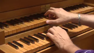 J S BACH: Wo soll ich fliehen hin, BWV 646 Organ: Massimo Pinarello