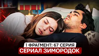 1 ФРАГМЕНТ! Турецкий сериал Зимородок 67 серия русская озвучка