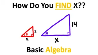 These Triangles Are VERY Similar…