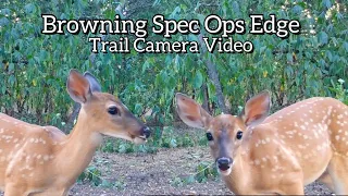 Browning Spec Ops Edge Trail Camera Video September 2021