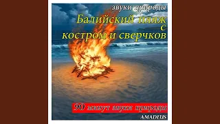 Балийский пляж с костром и сверчков: звуки природы (90 минут звуки природы)