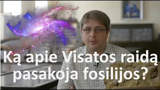 Ką apie Visatos raidą pasakoja fosilijos?