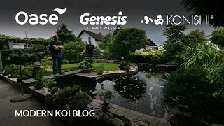 Modern Koi Blog #5464 - Patricks sehr alter 40.000 Liter großer Koiteich