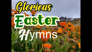 Glorious Easter Hymns/Songs/Kriss Rhoda Sheshy/LifebreakthroughMusic