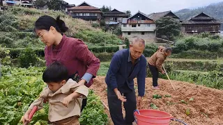 一家人拉水拯救菜園，小湯圓使勁搞破壞，變成了全家人討厭的娃【農人家三嫂】