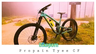 Bikeporn Propain Tyee CF 29