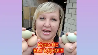 КУРЫ-ЭТО НЕ ВЫГОДНО!!!!