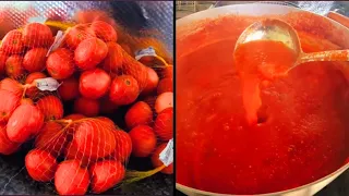 O MOLHO DE TOMATE CASEIRO MAIS SIMPLES E FÁCIL QUE VOCÊ JÁ VIU