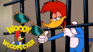 Woody Woodpecker | Woody Goes to Jail | Full Episode
