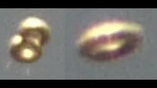 Donut Shaped UFOs