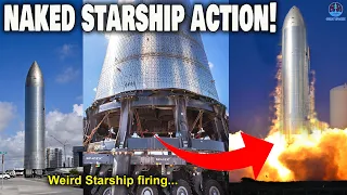 Naked Starship to launch site for big fire testing! Water deluge system new upgrade...