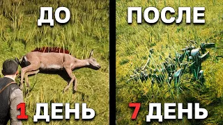 Сравнение деталей в мире RDR 2 и Ведьмак 3 - что лучше?