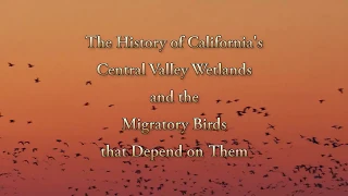 The History of California's Central Valley Wetlands and Birds