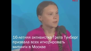 Грета Тунберг обсудила митинги в Москве