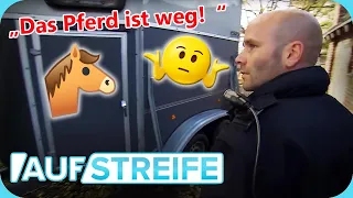 "Da ist kein Pferd drin" 🤓​🐴​ Radikale Rettung vor dem Rossschlachter? | Auf Streife | SAT.1