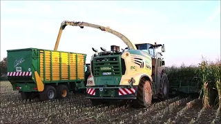 Krone Big X780 mit 3 Gespanne im Mais.