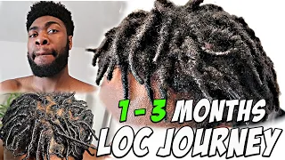 1-3 MONTH STARTER LOCS UPDATE | High top dreads | Crazy Hair Transformation