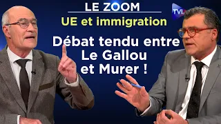 UE et immigration : face à face  tendu entre Le Gallou et Murer ! - Le Zoom - TVL