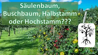 Die 4 Baumformen - Säulenbaum, Buschbaum, Halbstamm und Hochstamm