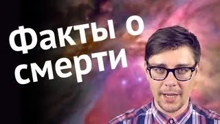 № 5. Факты о смерти