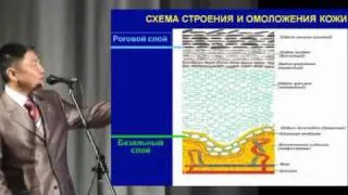 В.Н Ким "Схема строения и омоложения Кожи" (8из14)