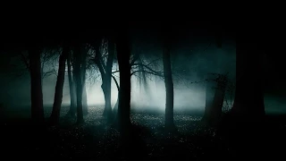 FOREST AT NIGHT 🎧 Crickets Owls Rain & Wind – Stress Relief, Healing Relaxation, Deep Sleep, Study