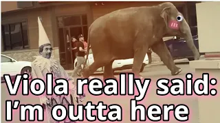 Circus Elephant Roams the Streets of Montana!?