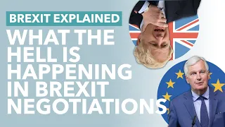 Last Minute Brexit Negotiations: With One Month Left Is a Deal Even Still Possible? - TLDR News