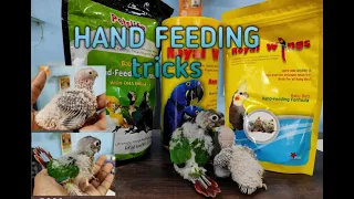 Hand feeding formula and tips