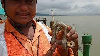 D Shackle or Wire Rope use