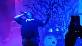 Signs of the Swarm - Amongst the low & Empty - Live in Guadalajara, México 4K